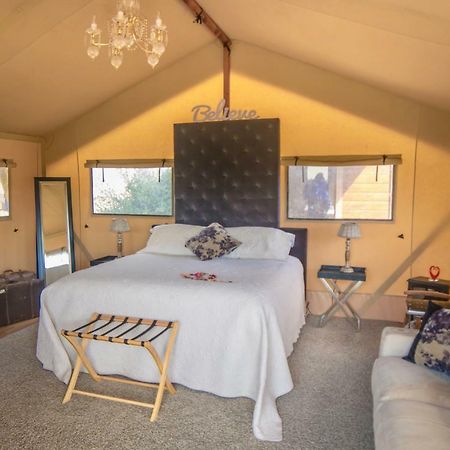 Country Retreat Glamping Hotel New Plymouth Kültér fotó