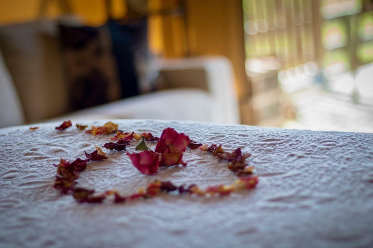 Country Retreat Glamping Hotel New Plymouth Kültér fotó